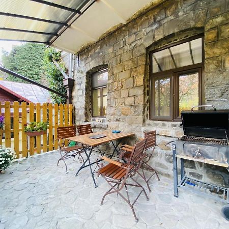 Apartment Carol Private Yard With Barbeque And Parking Sinaia Luaran gambar