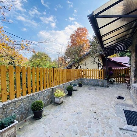 Apartment Carol Private Yard With Barbeque And Parking Sinaia Luaran gambar