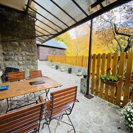 Apartment Carol Private Yard With Barbeque And Parking Sinaia Luaran gambar