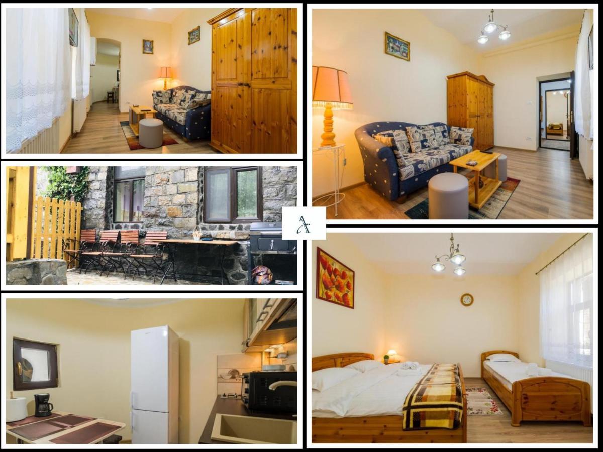 Apartment Carol Private Yard With Barbeque And Parking Sinaia Luaran gambar