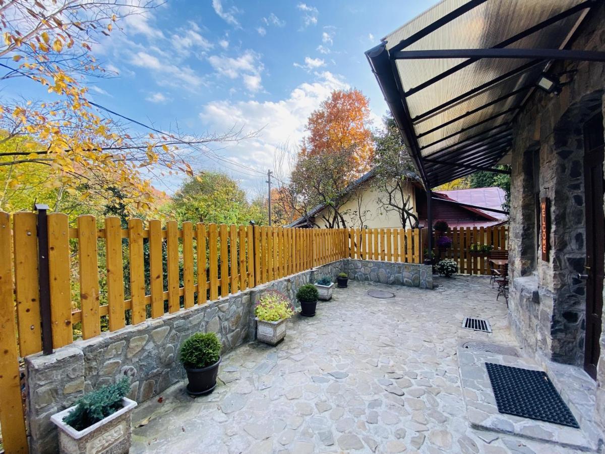 Apartment Carol Private Yard With Barbeque And Parking Sinaia Luaran gambar