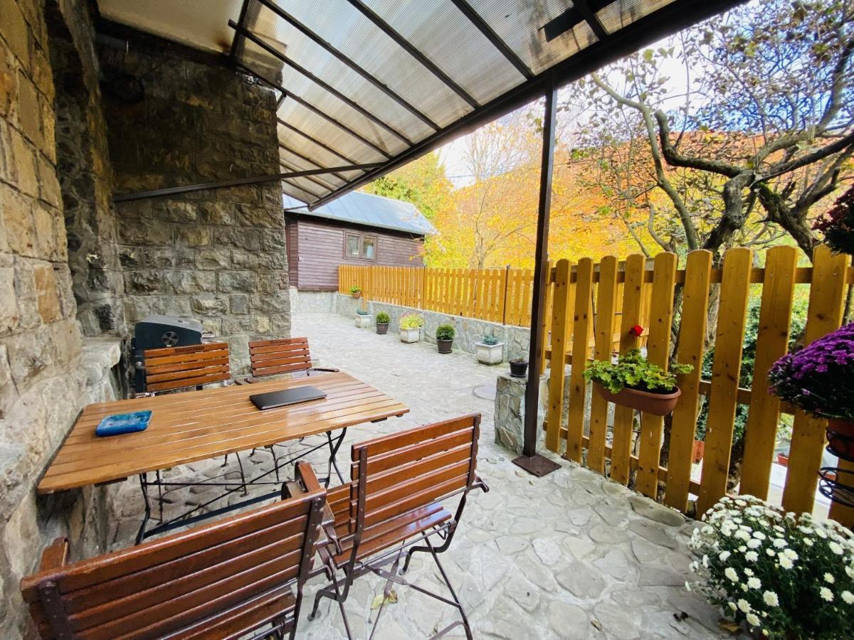 Apartment Carol Private Yard With Barbeque And Parking Sinaia Luaran gambar